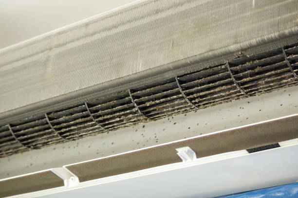 Best Air Duct Cleaning Near Me  in Crestwood, MO